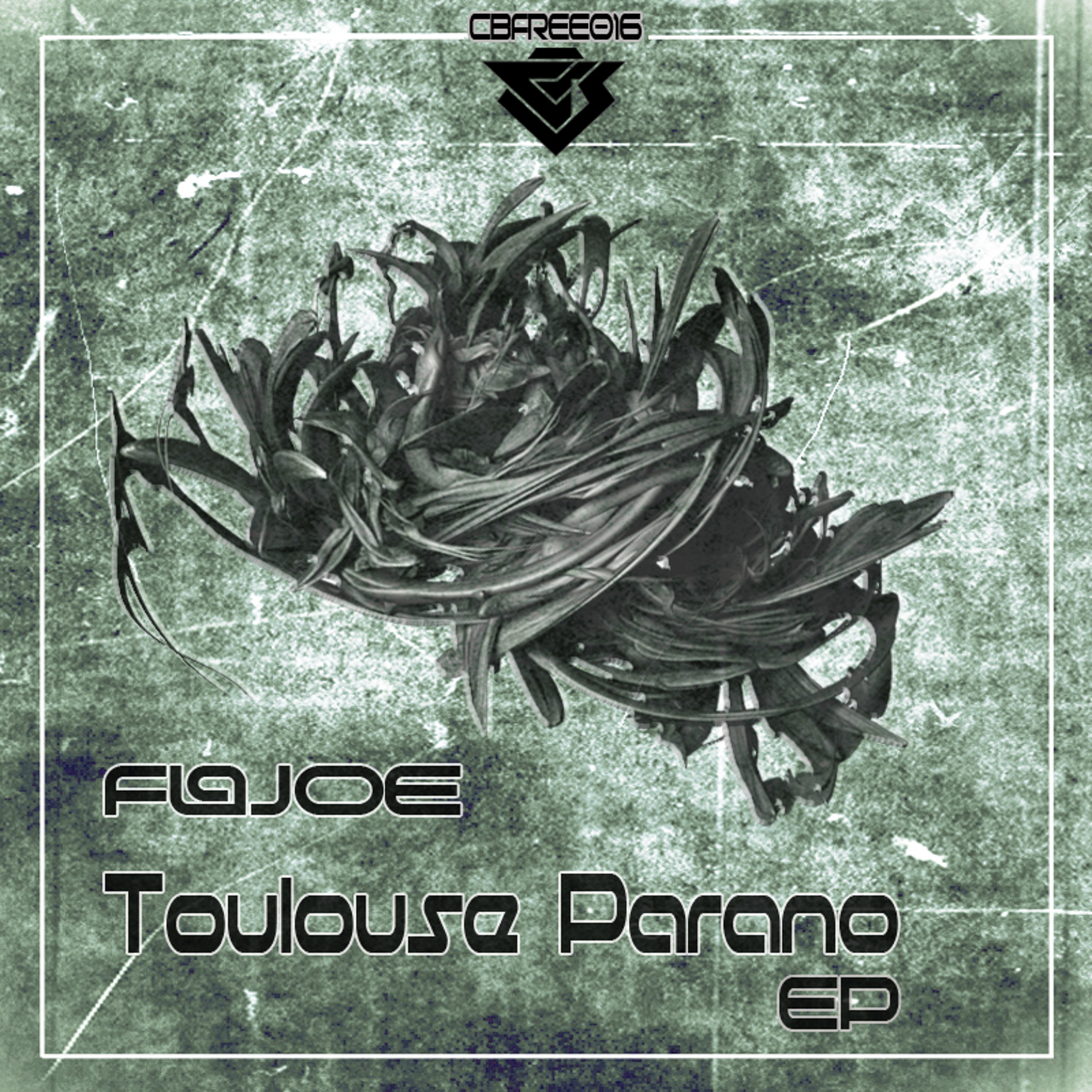 F@JOE - Toulouse Parano episode artwork
