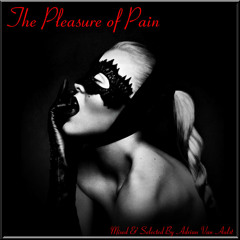 The Pleasure Of Pain (BIONIC LOVE MIX)