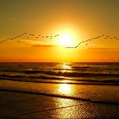 Phunkatastik Trax´s