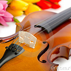 Those were the days (Les temps des Fleurs) - violin