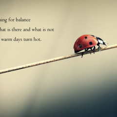 Funambulism [naviarhaiku073 - Searching for balance]