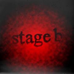 Stage B CZECH ASSASSIN