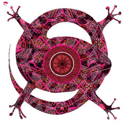 PGS Sync Sampler | Pink Lizard Music