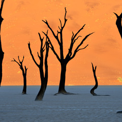 Soundpipe musical demo 1 - Pads