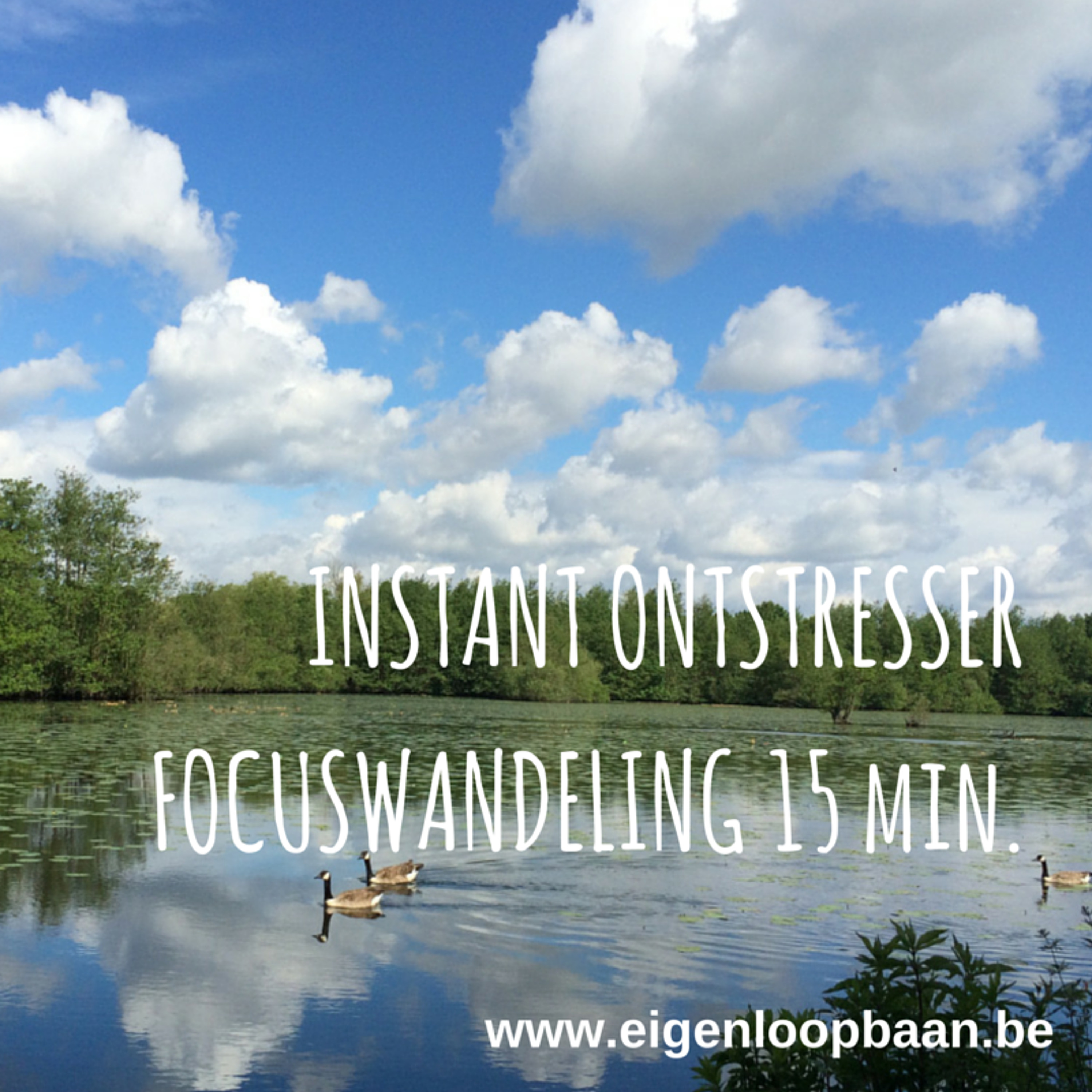Outdoor loopbaan coaching