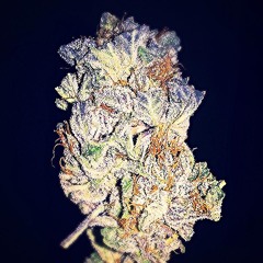 01 Smoke An Chill[1]