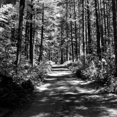 Rivers And Roads (cover)