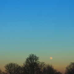 Wasting Time Counting Sheep