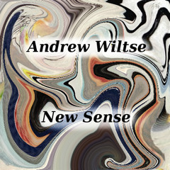 Andrew Wiltse- New Sense