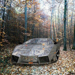 Diem Redux_Invisible Cars