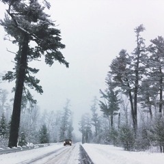 WHITE EARTH