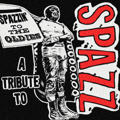 Death Rivals Of Shaolin (SPAZZ Cover)