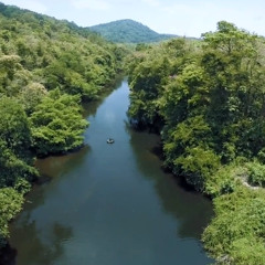 Ma New work for Pathanamthitta Eco Tourism.  Director : Binal Kottacadu DOP       : Neil Dcunha Edit        : Prejish Prakash  Music composed, arranged and programmed by          : Prakash Alex  Lyrics.  : Linkz Abraham  Backing vocals: Midhun Anand Joju