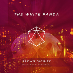 Say No Diggity (ODESZA//Blackstreet)- The White Panda