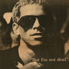 Foggy Notion- The Velvet Underground- Rare 45 RPM Single