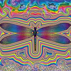 Dragonfly  Vision