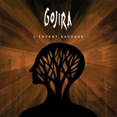 Gojira - Mouth Of Kala Guitar Cover