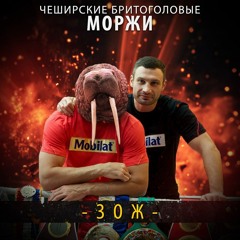 Чеширские Бритоголовые Моржи - Здоровый образ жизни (Single) (2015)
