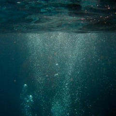 cepasa - nove (thvn remix)