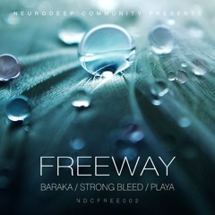 Freeway - Baraka (NDC FREE 002)