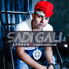 Zeshan - Sadi Gali (Remix)