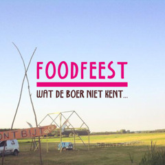 Part of the set at Foodfeest Delft 2015 - 05 - 25