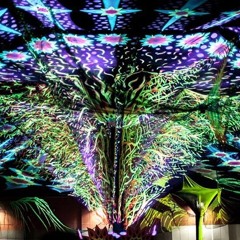 Goa / Prog / Psy Trance