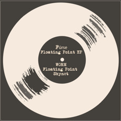 Fürse - Floating Point ( Reig & SAP Remix  ) Cut Preview