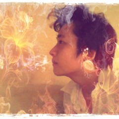 Rise Like A Phoenix cover