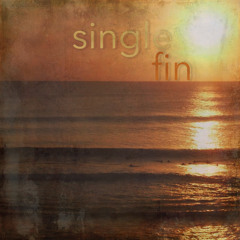 Single Fin