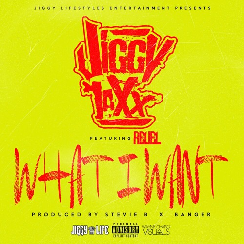 Jiggy Jaxx -What I Want Ft. Reuel (Prod. By Stevie B x Banger) *NEW SONG*