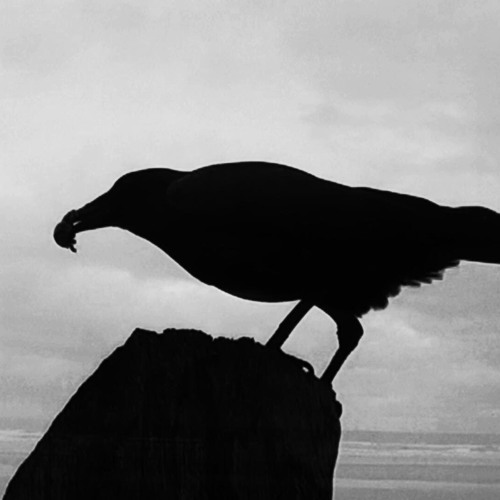 Max Ablitzer - Dark Haunting Violin : Ghost Song