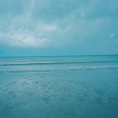 Le Courage Des Oiseaux (Dominique A Cover)