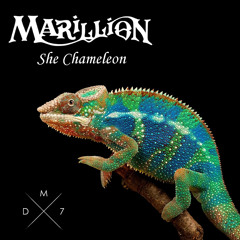 Marillion - She Chameleon (DM7 Remix)
