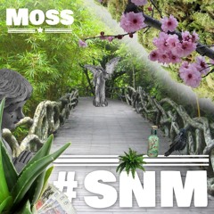 #SNM (Track Preview)