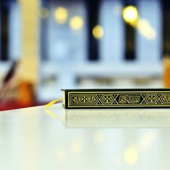 سورة الناس, الشيخ محمد محمود الطبلاوي