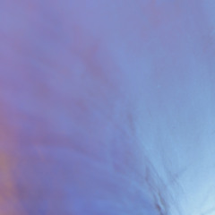 Extrackt281 Gburek/Mełech/CalmWhale