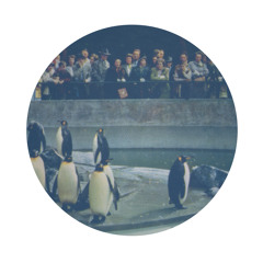 breaking the ice (#023)