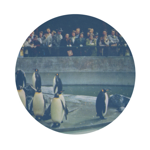 breaking the ice (#023)