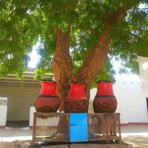 الصورة - الطيب مدثر
