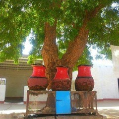 ليه حياتنا اخترت غيرها .. الطيب مدثر + عاطف السمانى