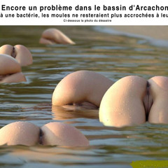 Johnny Be Good Montreal  Extended Retro Mix Get Down Vs Love Me  Harder   Pussy Mix 2015