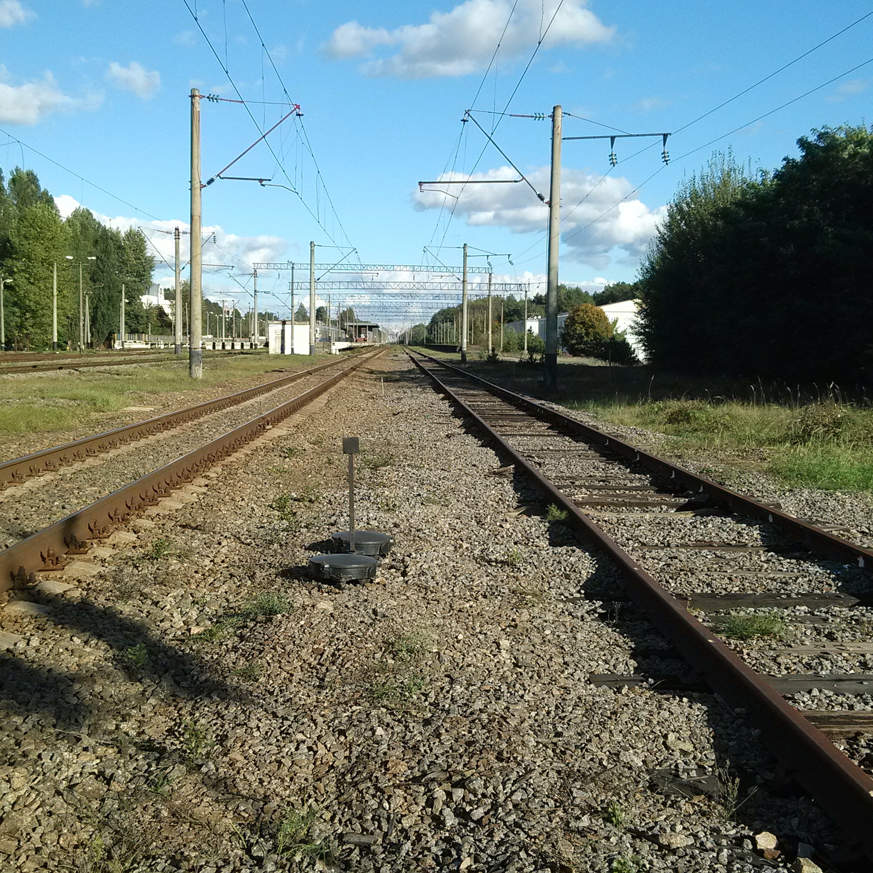 Dimbka