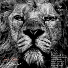 Inner Rebels - Want You Back (Vicent Ballester Remix) [Deep Strips] ★OUT NOW★