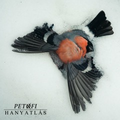 PETOFI - Hanyatlás EP - 02 Süket Füledre Talál A Vallomásom