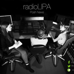 Posh News #18 - The End of Year Blowout!