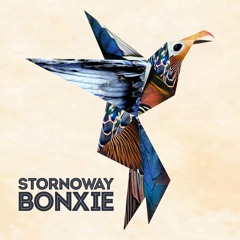 Stornoway: Get Low (Gonzo's Dreaming Of 1990 Remix)