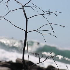 Stolen Dance (milky Chance)