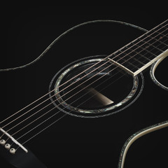 Acoustic Song Idea (Ibanez JSA5/Sm57)