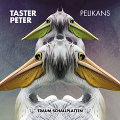 Taster Peter - Pelikans (Traum V189)